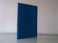 cover of My Father's Brain