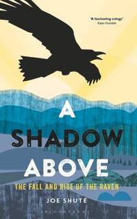 A Shadow Above : The Fall and Rise of the Raven