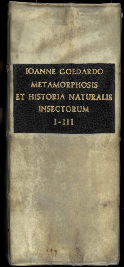 Metamorphosis et Historia Naturalis Insectorum. Cum Commentariis D. Joannis de Mey etc. etc. (photo 3)