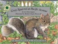 Gray Squirrel at Pacific Avenue