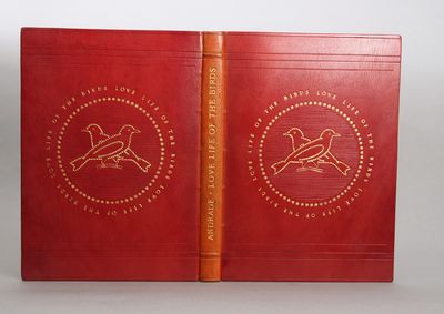 Love life of the birds. Translated from the Spanish by Herbert M. Clark. Illustrations by Axel Amuchastegui. (photo 2)