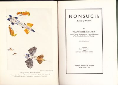 Nonsuch: Land of Water.