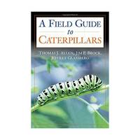 Caterpillars in the Field and Garden: A Field guide to the Butterfly Caterpillars of North America