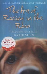 The Art of Racing in the Rain a Novel. Garth Stein