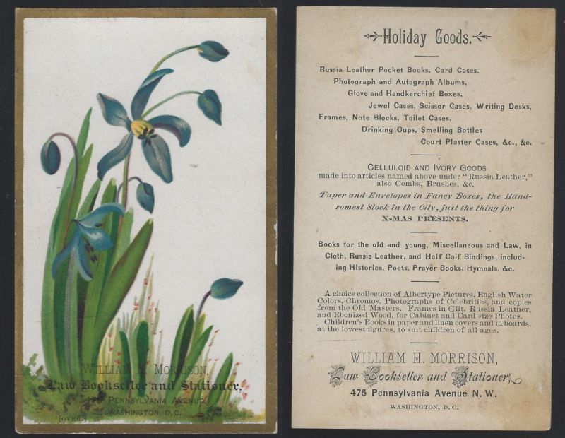VICTORIAN TRADE CARD FOR WILLIAM H. MORRISON LAW, BOOKSELLER AND STATIONER WITH SIBERIAN SQUILL FLOWER