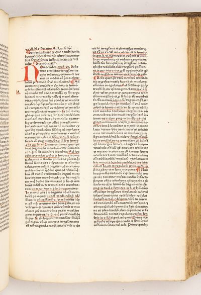 Speculum aureum decem praeceptorum Dei; (photo 16)