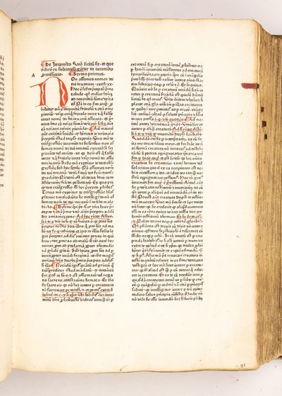 Speculum aureum decem praeceptorum Dei; (photo 20)