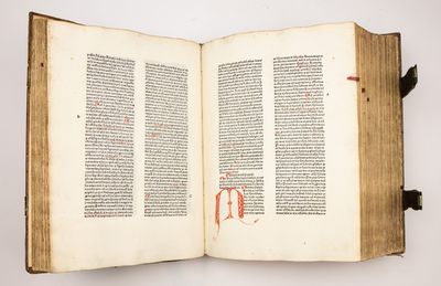 Speculum aureum decem praeceptorum Dei; (photo 9)
