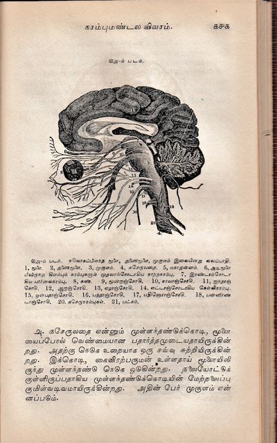 [Anatomy, Physiology, and Hygiene]