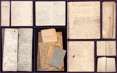 A Collection of Ledgers Relating to Warren D. Rowley's Merchant Business Personal Financial Accounts
