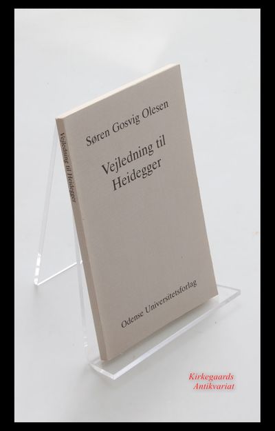Vejledning til Heidegger.