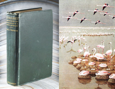 Retrospect: Reminiscences and Impressions of a Hunter-Naturalist in Three Continents 1851-1928