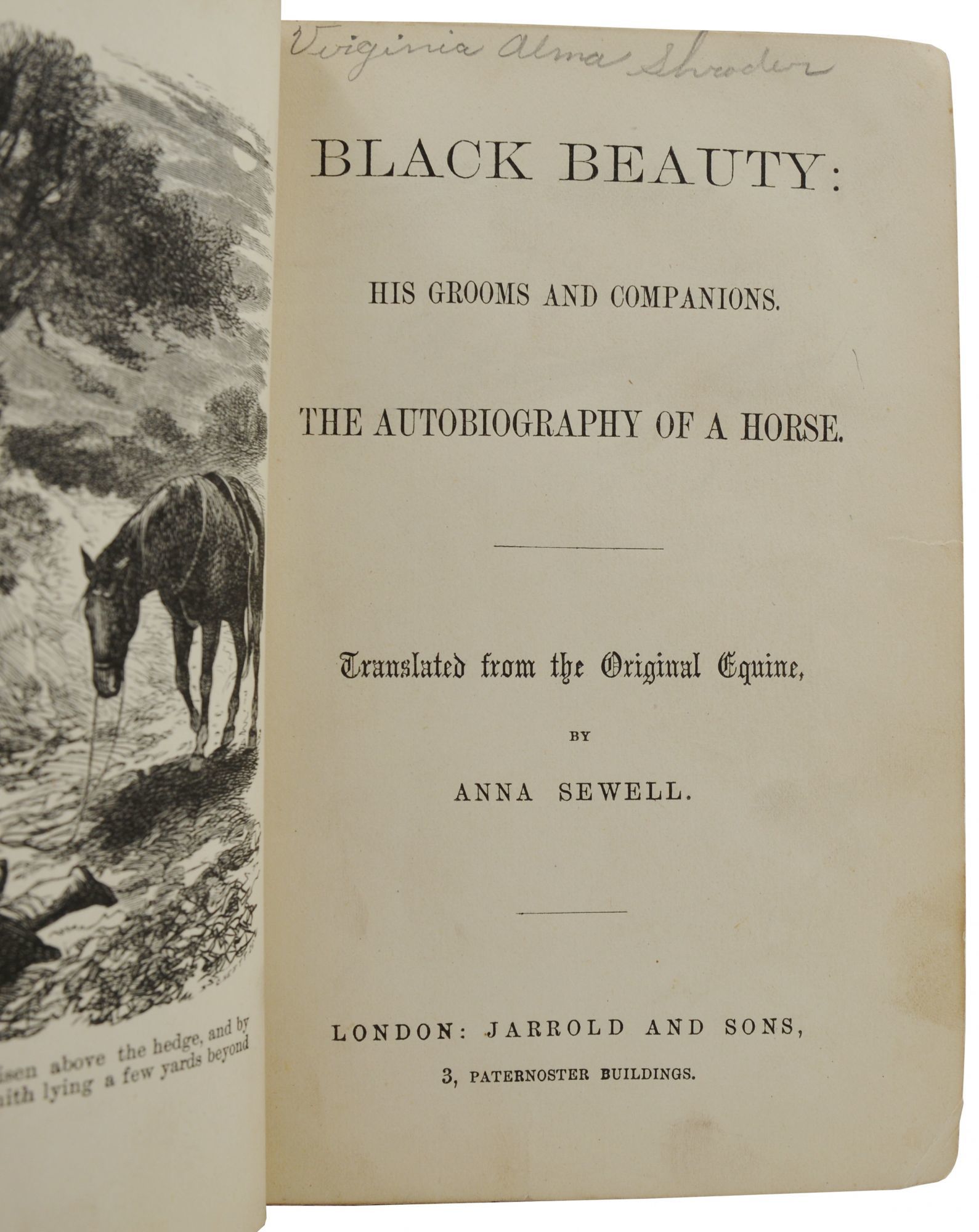 Black Beauty by Anna Sewell - First Edition - 1877 - from Burnside Rare  Books, ABAA (SKU: 140941318)
