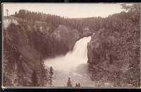 Upper Falls of the Yellowstone. 3573