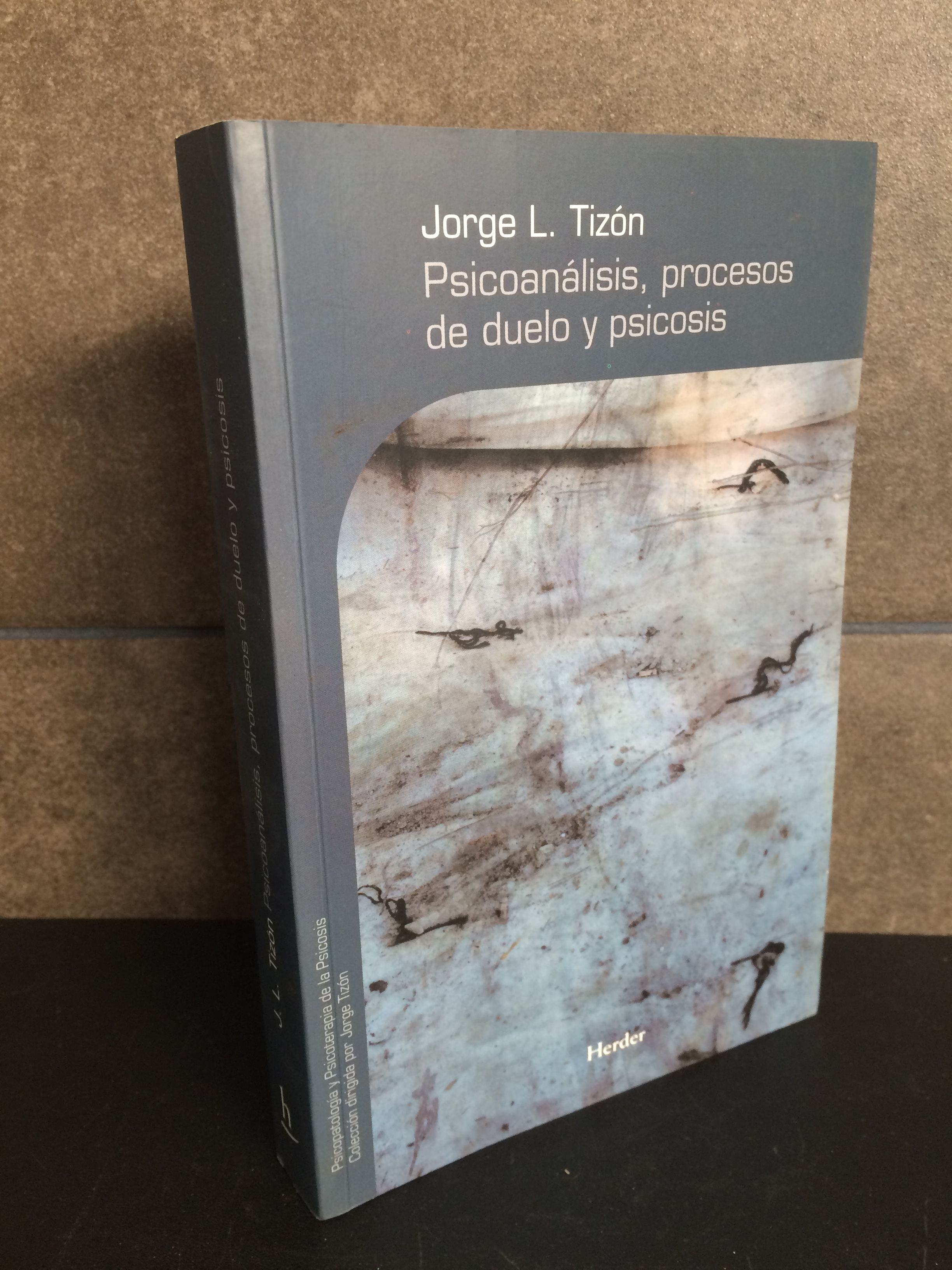 Psicoanálisis, procesos de duelo y psicosis (Psicopatología y ...
