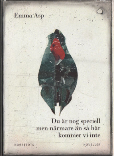 DU ÄR NOG SPECIELL MEN NÄRMARE ÄN SÅ HÄR KOMMER…