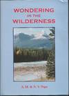 Wondering in the Wilderness