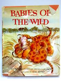 Babies of the wild