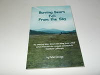 Burning Bears Fall From the Sky: My amusing story about relocating from a desk in San Francisco...