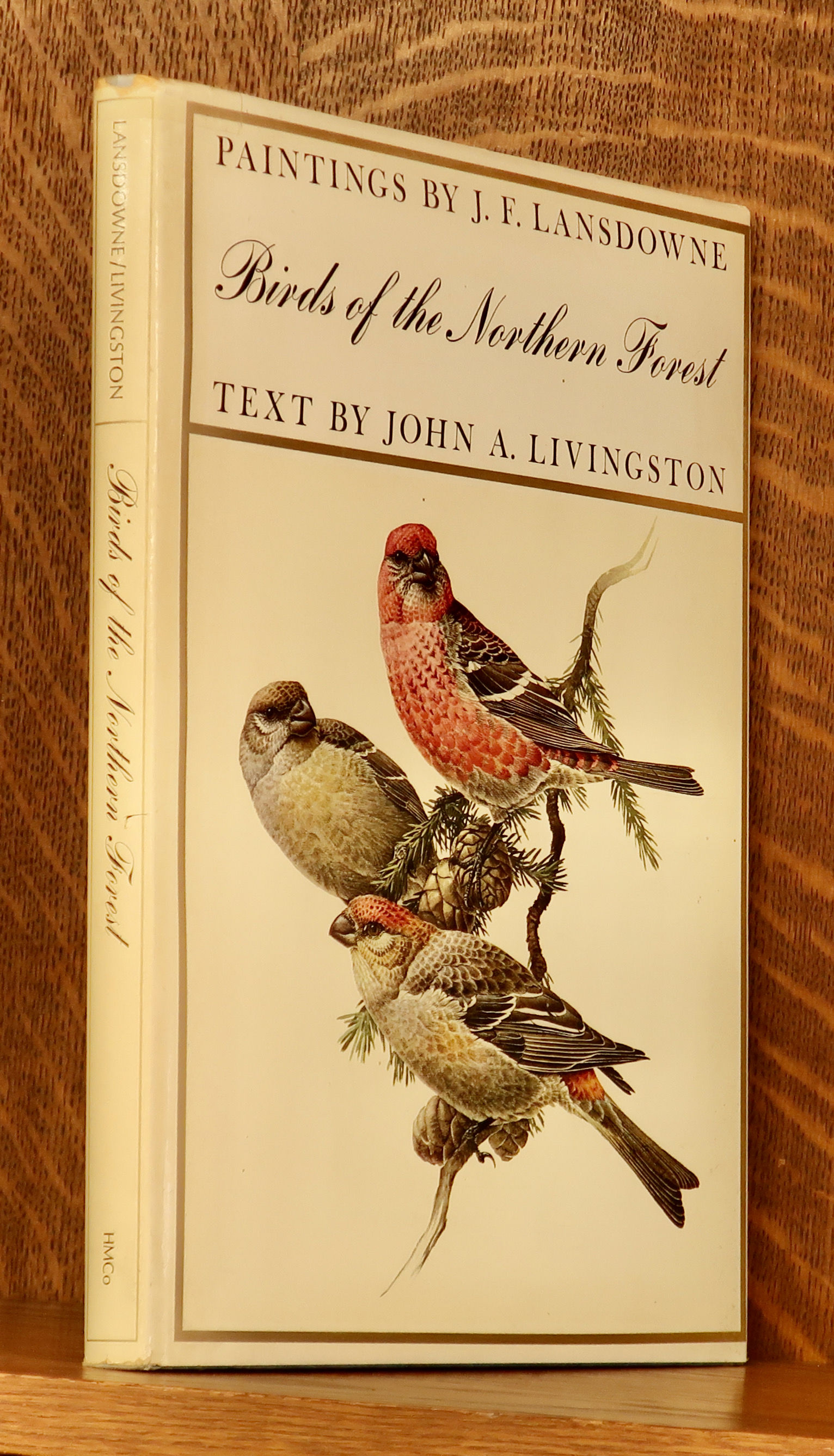 Lansdowne's Birds of the Forest　鳥の図鑑　洋書 Lansdowne's Birds of the Forest 鳥の図鑑 洋書
