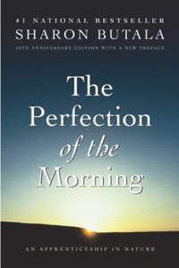 The Perfection Of The Morning