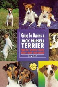 Guide to Owning a Jack Russell Terrier