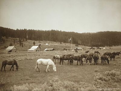Nine Quarter Circle Ranch - Eldridge, Mont
