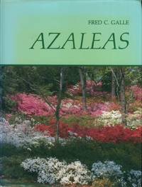 image of Azaleas