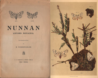 NUNNAN (LIPARIS MONACHA) en framställning af dess…