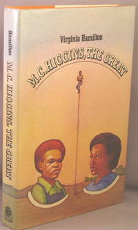 image of M. C. Higgins, The Great.