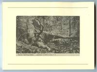 image of The Hunt
