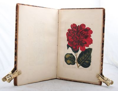 Blomster-Museum eller colorerede Afbildninger af…