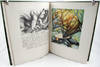 Aesop's Fables. Four editions printed...; (photo 2)