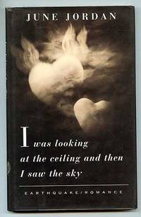 image of I Was Looking at the Ceiling and Then I Saw the Sky