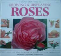 A Step-by-step Guide to Growing & Displaying Roses