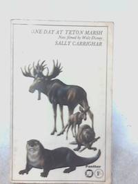 One Day at Teton Marsh