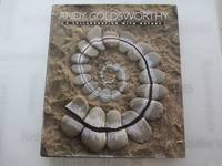Andy Goldsworthy: A Collaboration with Nature