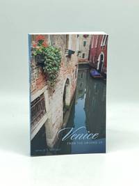 Venice from the Ground Up
