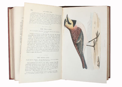 The Natural History of Cage Birds: their Managements, Habits, Food, Diseases, Treatment, Breading, and the Methods of Catching them. A New Edition. (photo 2)