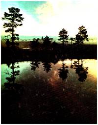 image of LAPLAND.