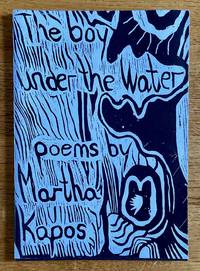 cover of The Boy Under the Water