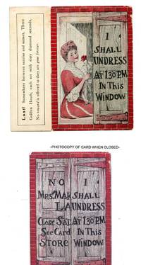image of Edwardian Beauty view postcard