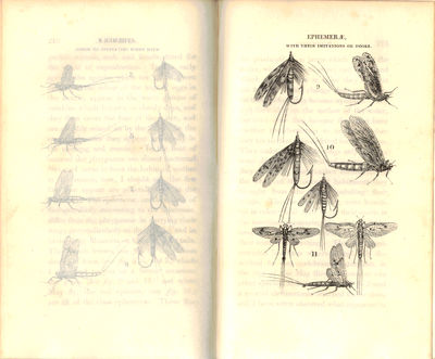 Salmonia: or days of fly fishing. In a series of conversations with some accounts of the habits of fishes belonging to the genus salmo. By an angler. (photo 3)