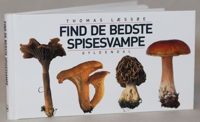 Find de bedste spisesvampe.