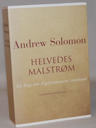 Helvedes malstrøm - En bog om depressionens…