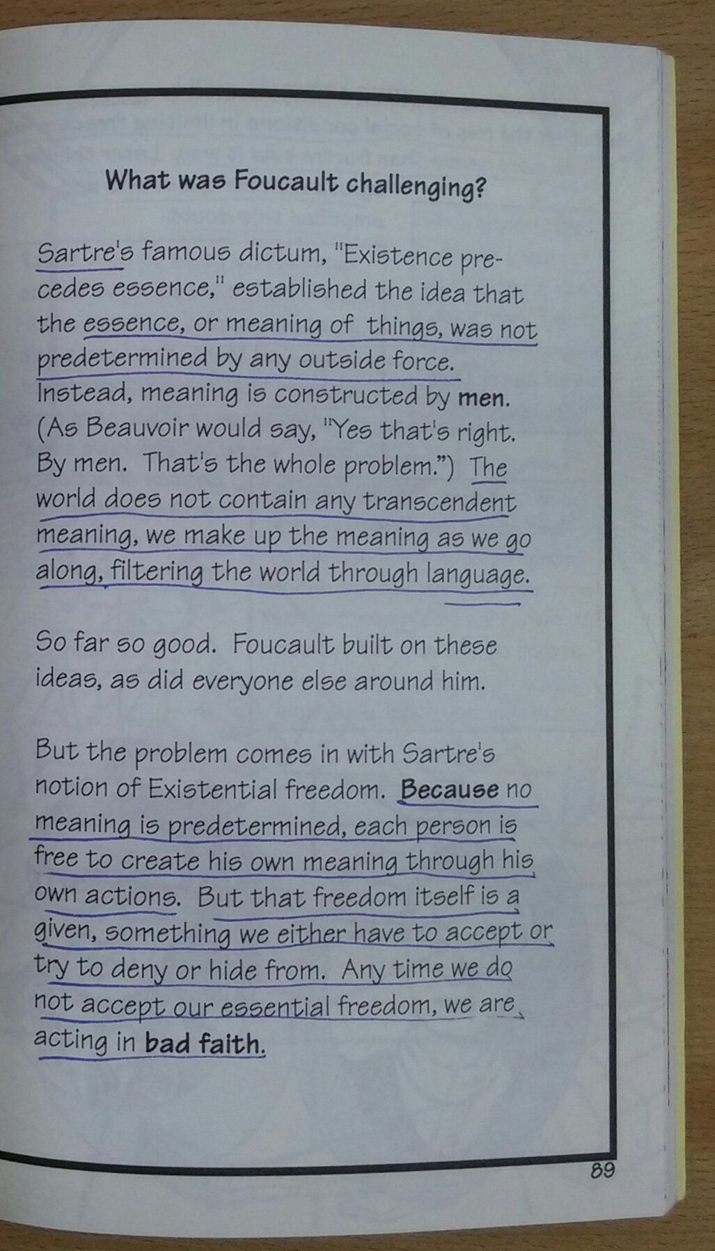 Foucault for Beginners (Writers and Readers Documentary