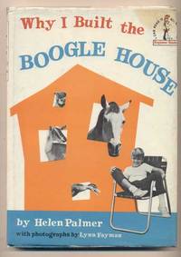 Why I Built the Boogle House