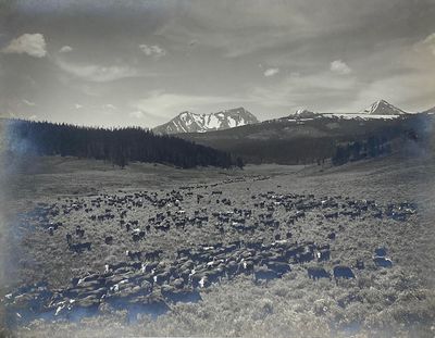 Nine Quarter Circle Ranch - Eldridge, Mont