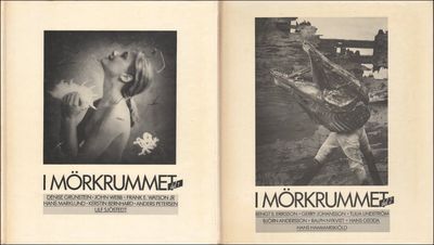 I MÖRKRUMMET. DEL 1-2.