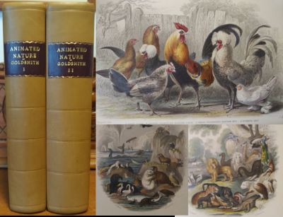 A History of the Earth and Animated Nature by Goldsmith, Oliver